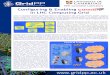 Enabling Condor in LHC Computing Grid