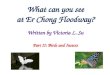 What can you find at er chong floodway~birds and insects