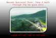 Bwindi national park