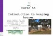 Introduction to Horse Keeping