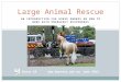 Large Animal Rescue: An introduction for horse owners on working with emergency responders