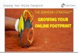 Growing Your Online Footprint - May Webinar