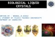 Biological liquid crystals