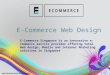 Ecommerce Web Design