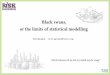 Black swans, or the limits of statistical modelling