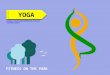 Hatha yoga classes adelaide – the spirit of yoga
