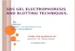 Gel electroporosis