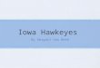 Iowa Hawkeyes