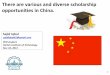 Scholarship Opportunities in China