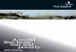 A World Free from War and Poverty The Elders Annual Report 2013