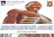 Musculoskeletal System Trauma