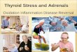 Thyroid stress and inflammation