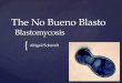 Blastomycosis Grand Rounds