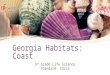 Georgia Habitats The Coast