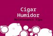 Cigar humidor-Maintanance tips
