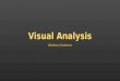 Visual analysis