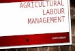 AGRICULTURAL LABOR MANAGEMENT