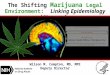 The shifting marijuana legal environment