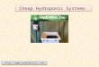 Cheap hydroponic systems