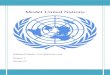 Final report Model United Nation Falkland Islands- Las Malvinas case