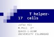 T helper17 cells