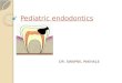 Pediatric endodontics