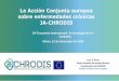 JA-CHRODIS at 18th Nursing Research Conferende (Spanish presentation)