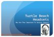 Turtle Beach Headset: The Serious Gamers Choice!
