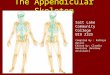 Activity 4 appendicular skeleton