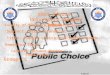 Pubplic choice and public good