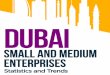 Dubai Small and Medium Enterprises - Statistic by GO-Gulf
