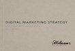 Digital Marketing Strategy: Holesom Boards