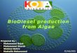 BioDiesel production from algae