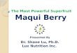 Maqui Berry - Presentation (PPT)