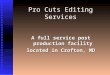 Professional Video Editing Services - About our Firm
