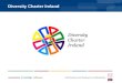 Diversity Charter Ireland Launch OCT 2012