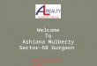 Looking for Property in Ashiana Mulberry?