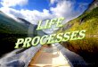 life processes #aanchal
