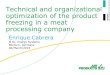 Technical and organizational optimization of the product freezing in a meat processing company