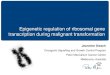 Epigenetic regulation of ribosomal gene transcription during malignant transformation - Jeannine Diesch