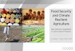 Food Security and Climate Resilient Agriculture
