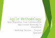 Agile Methodology - Data Migration v1.0