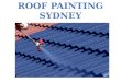 Roof Painting, Cleaning &  Metal Roofing Sydney