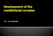 (Lec 3) Embryology - development of the maxillofacial complex