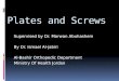 Plates and screws 11