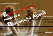 Entamopathogenic Fungi as Biocontrol Agents - A Special Focus on Beauveria bassiana and Hirsutella