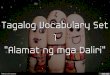 Tagalog Vocabulary Set 1 "Alamat ng mga Daliri"