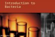 Introduction to bacteria