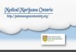 Medical Marijuana Ontario