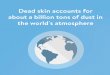 Health Fact:  1 billion tons of the world's atmosphere is actually dead skin!